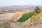 رفع تصرف ۱۴۲ هکتار از زمین‌های ملی استان بوشهر