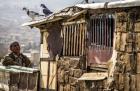 ۵۱ محله حاشیه‌نشین در کردستان وجود دارد
