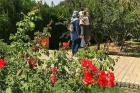 ارائه لایحه سرمایه‌گذاری خارجی باغ گیاه شناسی مشهد به شورا