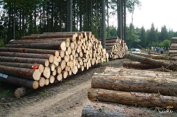 حاشیه های برکناری مدیرعامل شرکت جنگل شفارود 